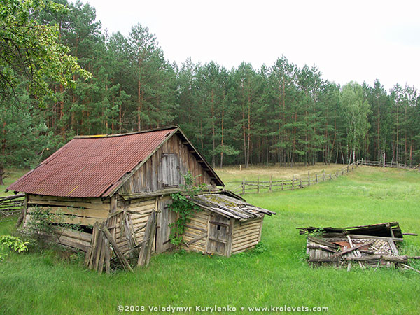 Old barn. Village Grechkyne, Krolevets region, Ukraine